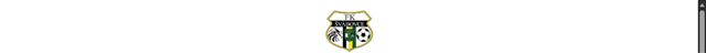 FK Švábovce football club logo
